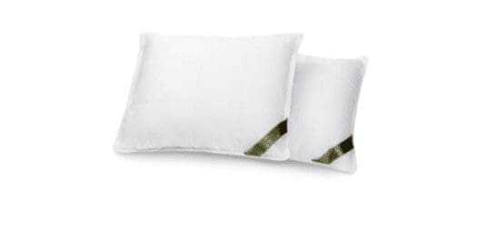 Silk Lined Travel Pillows