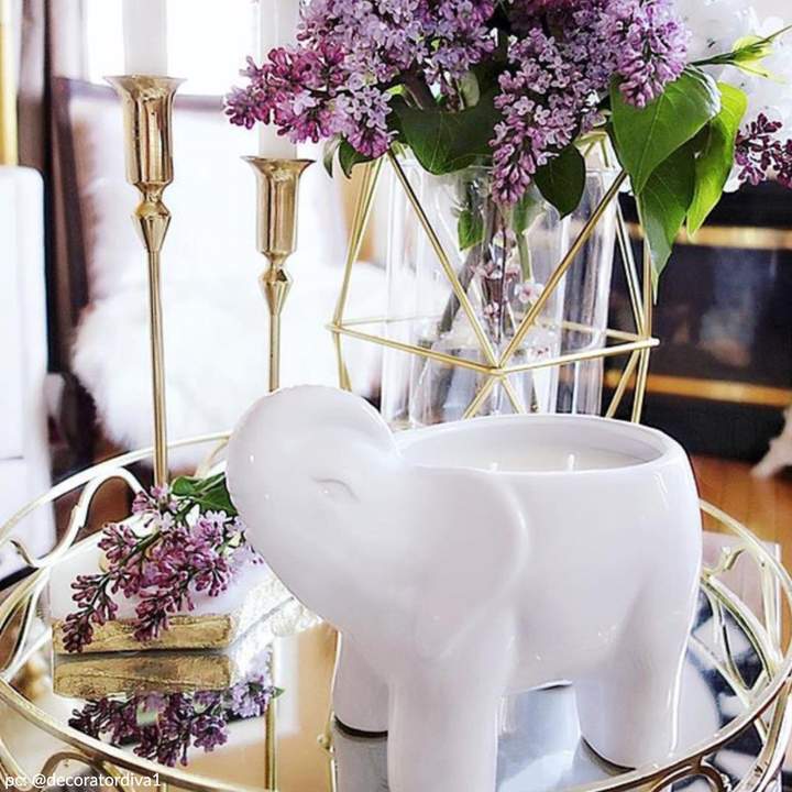 Ann Mastronardi Interior Design