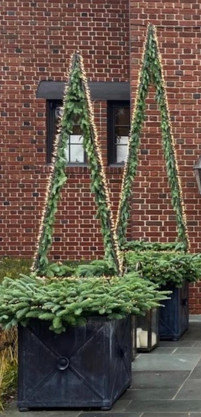 Illuminated Steel Trees